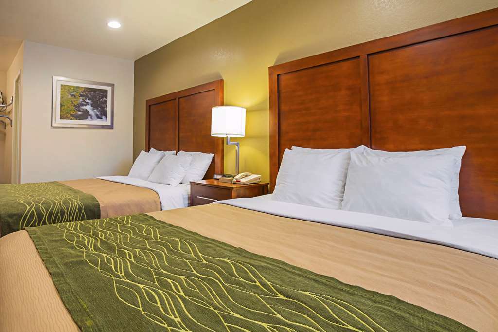 Comfort Inn Бішоп Номер фото